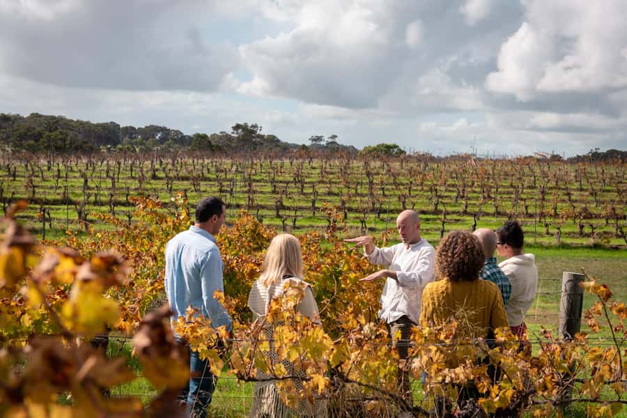 Hidden Gems Margaret River: Authentic Wine & Farm Experience - A seven-hour food and wine day in Margaret River