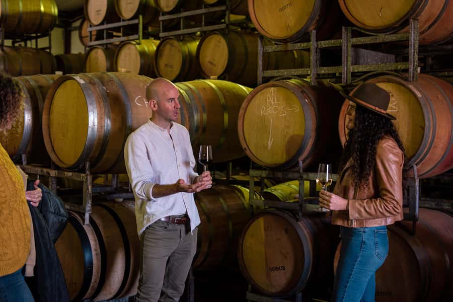 Hidden Gems Margaret River: Authentic Wine & Farm Experience - Emus, alpacas, and scones before the wine