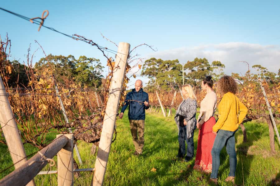 Hidden Gems Margaret River: Authentic Wine & Farm Experience - What the guide adds to the day
