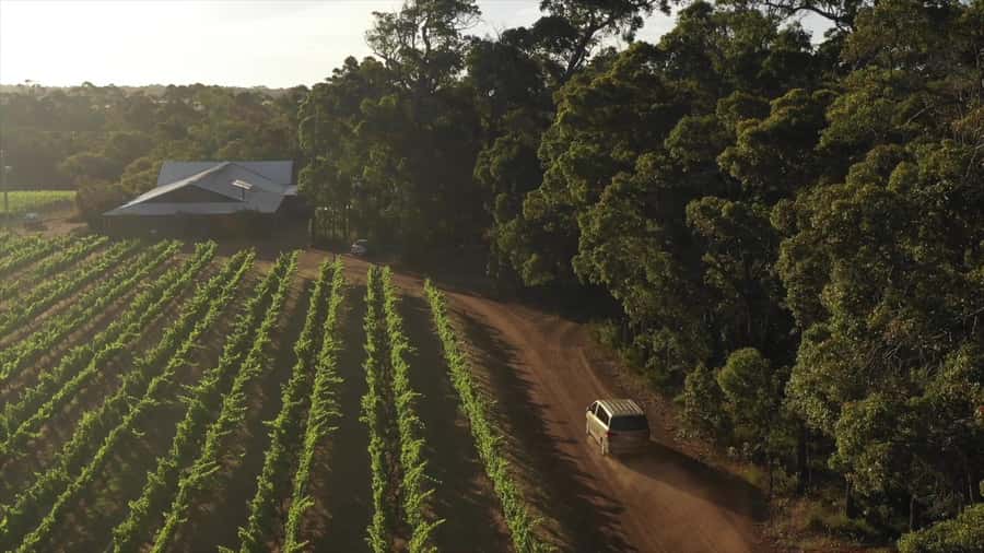 Hidden Gems Margaret River: Authentic Wine & Farm Experience - Is $145 per person good value?