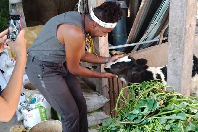 Ho Chi Minh City Full-Day Farm trip with Healthy Cooking Class - What you take home beyond a full stomach