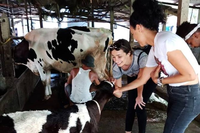 Ho Chi Minh City Full-Day Farm trip with Healthy Cooking Class - Seeing how rice paper is made