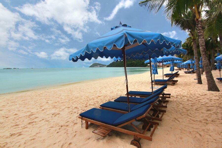 Ho Coc Beach, Nature Reserve & Dragon Fruit Farm Day Tour - The long return to Ho Chi Minh City