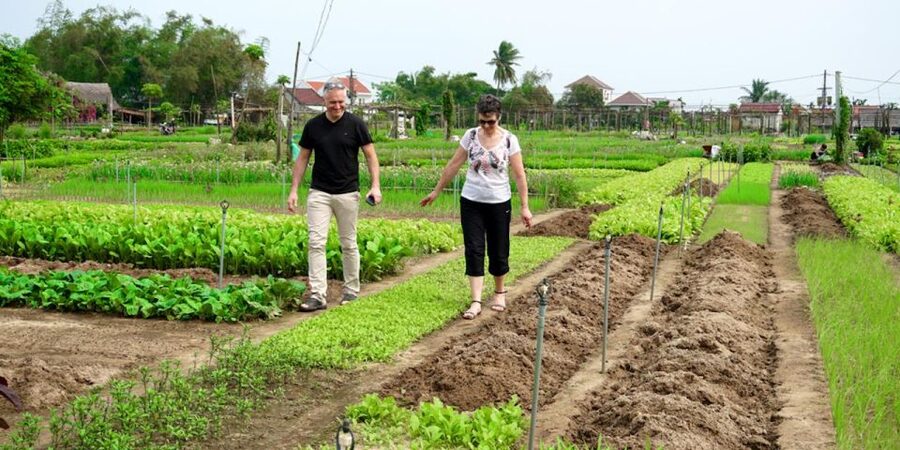Hoi An Countryside Bicycle Tour - Farming - Cooking Class - A cooking class built around three Vietnamese dishes