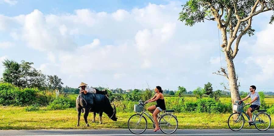 Hoi An: Countryside Bicycle Tour with Farm, Basket Boat Ride - Rice paddies, shrimp farms, and a closer look at farm work
