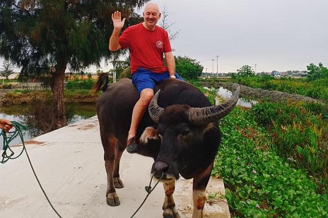 Hoi An Countryside Tour with Bamboo Basket Boat Rowing , Buffalo Ride, Farming - Riding a water buffalo near the fields