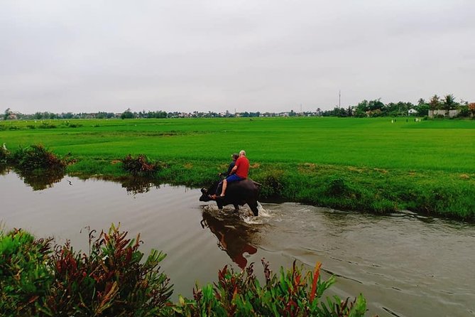 Hoi An Countryside Tour with Bamboo Basket Boat Rowing , Buffalo Ride, Farming - What the coconut forest adds to the day