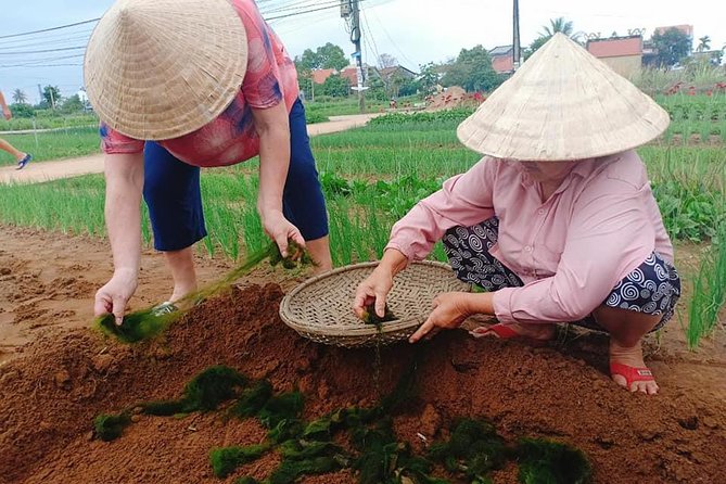 Hoi An Countryside Tour with Bamboo Basket Boat Rowing , Buffalo Ride, Farming - Guides, transport, and private touring