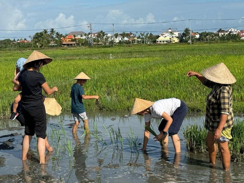 Hoi An:Cycling,Traditional Farming & Fishing Life Experience - From Hoi An’s old town to working village lanes