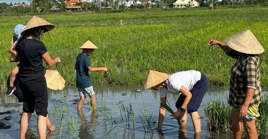 Hoi An:Cycling,Traditional Farming & Fishing Life Experience - Tea, coconut jam, and a family home