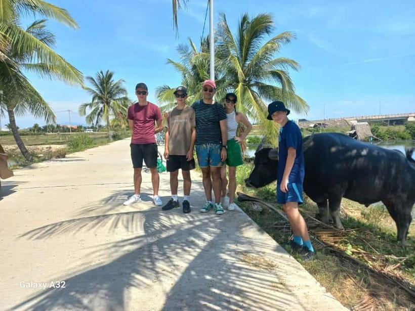 Hoi An: Cycling - Water Buffalo Riding Farming and Fishing - Working the rice field beside a water buffalo