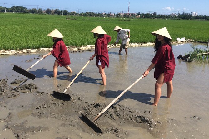 Hoi An Rice Farm Tour and Buffalo Riding with Local Home Meal - Key points to know before you book