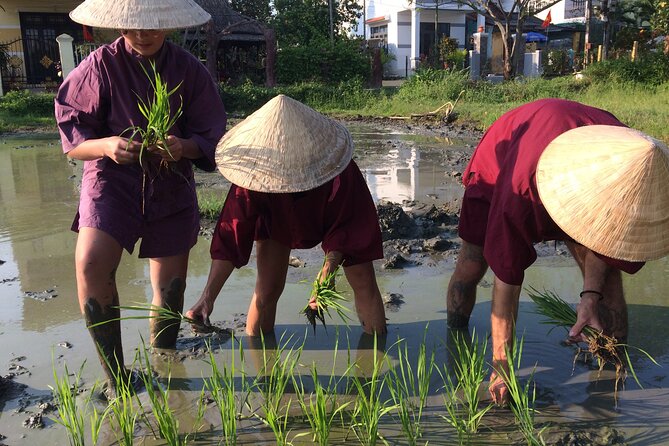 Hoi An Rice Farm Tour and Buffalo Riding with Local Home Meal - Learning wet-rice farming with a water buffalo