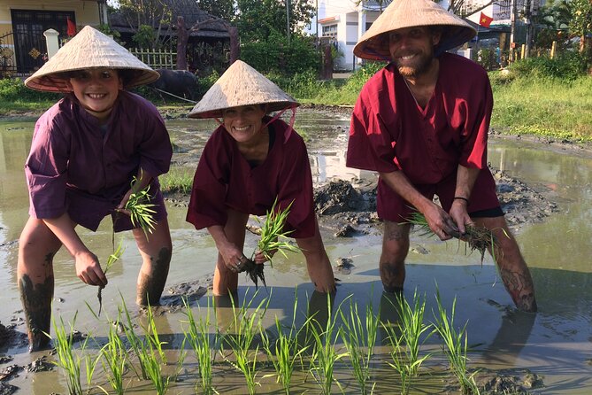 Hoi An Rice Farm Tour and Buffalo Riding with Local Home Meal - A home cooking demonstration and family lunch