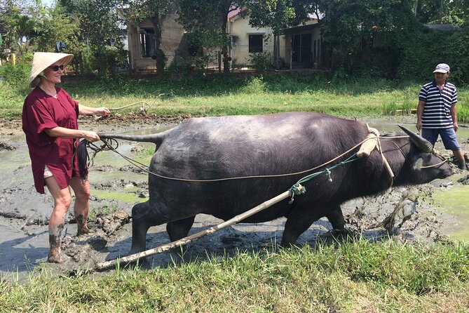 Hoi An Rice Farm Tour and Buffalo Riding with Local Home Meal - Why the private format matters