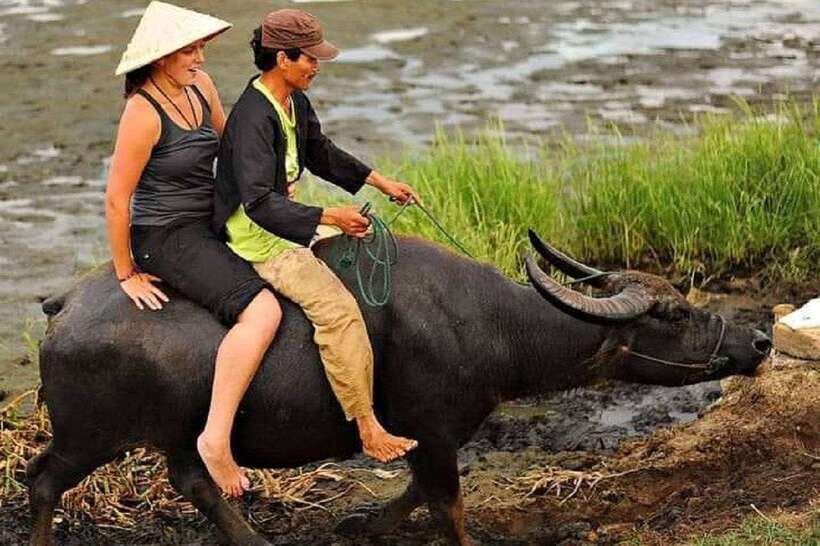Hoi An Wet Rice Farming Tour-Basket Boat Tour Fishing-Lunch - Key points at a glance