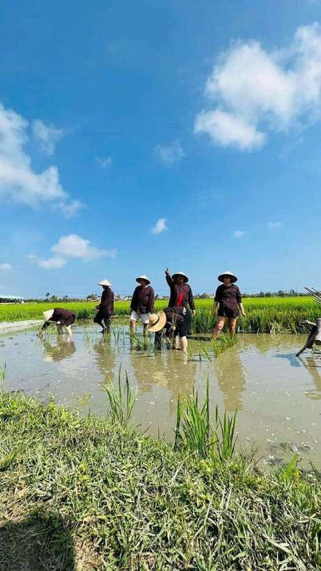 Hoi An Wet Rice Farming Tour-Basket Boat Tour Fishing-Lunch - Rice fields before the basket boats