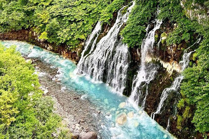 Hokkaido Farm Tomita Shikisai Hill Waterfall& Blue Pond Day Tour - Key points to know before booking