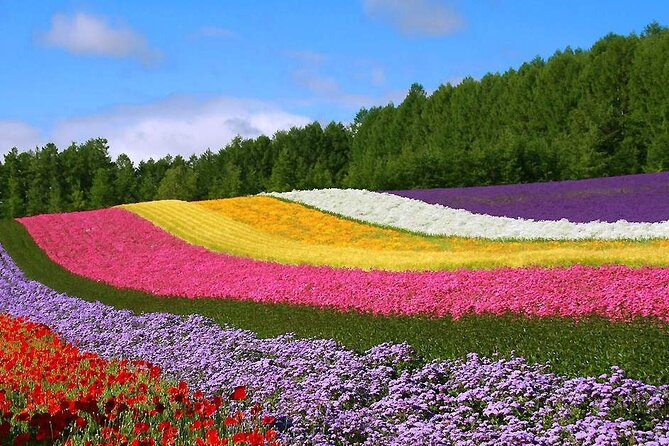 Hokkaido Farm Tomita Shikisai Hill Waterfall& Blue Pond Day Tour - A full day from Sapporo into Biei and Furano