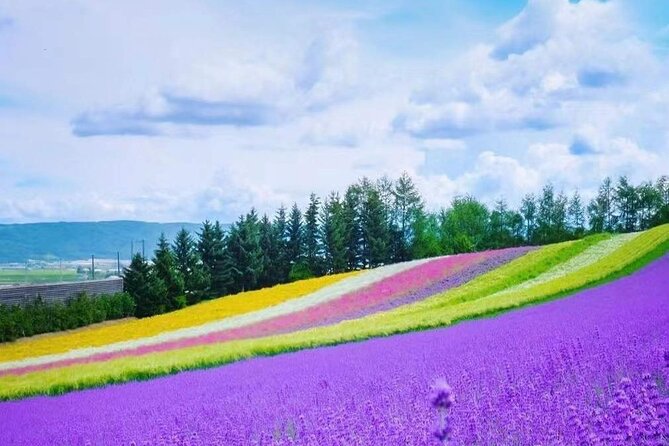 Hokkaido Farm Tomita Shikisai Hill Waterfall& Blue Pond Day Tour - Shirahige Falls adds movement and sound