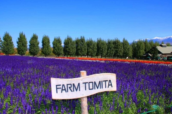 Hokkaido Farm Tomita Shikisai Hill Waterfall& Blue Pond Day Tour - Shikisai-no-Oka gives you the biggest flower walk
