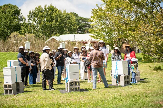 Honey Farm Tour. Morning Tea. Guided Tasting - What the Bowral Honey Farm experience is really like
