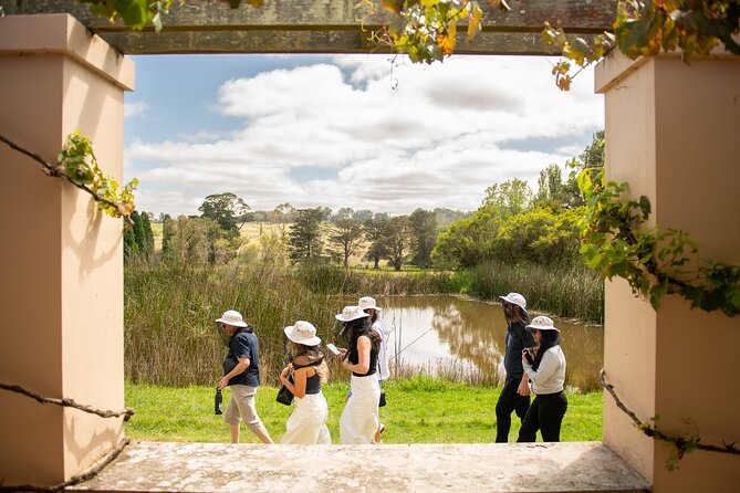 Honey Farm Tour. Morning Tea. Guided Tasting - Who should book this morning in Bowral?