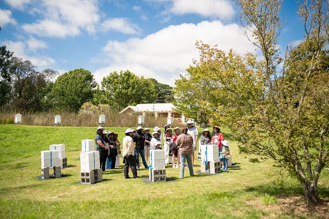 Honey Farm Tour. Morning Tea. Guided Tasting - Should you book the Bowral Honey Farm tour?