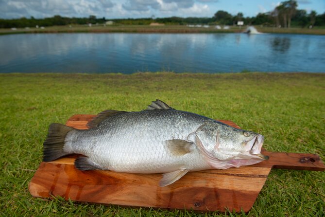 Hook-A-Barra Fishing and Farm Activity - What the gourmet barramundi platter adds