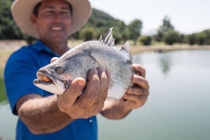 Hook-A-Barra Fishing and Farm Activity - Walking through the baby barra ponds