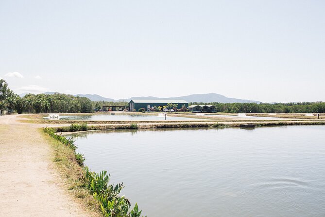 Hook-a-Barra Gourmet Farm Tour - The barramundi tasting plate completes the visit
