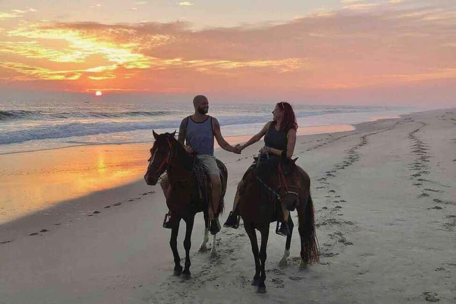 Horse Riding and Training Experience on a Farm in Antalya - Choosing between an arena ride and a 45-minute safari