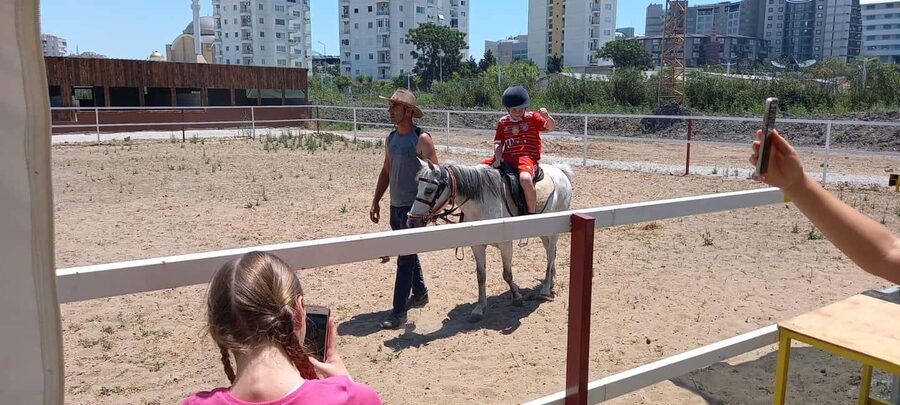 Horse Riding and Training Experience on a Farm in Antalya - Horse, camel, or donkey: which ride fits you?