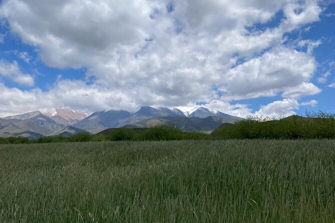 Horseback riding and barbecue in a private ranch - La Carrera, Mendoza - A private corner of the Andes near Tupungato