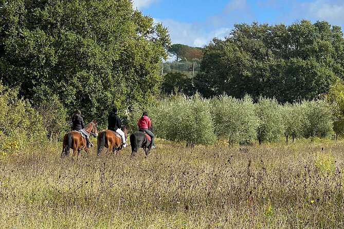 Horseback riding in Montepulciano Tuscany, lunch on the farm - A horseback start at Fattoria Madonna della Querce