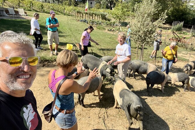 Horseback riding in Montepulciano Tuscany, lunch on the farm - Vineyards, olive groves, and Montepulciano views