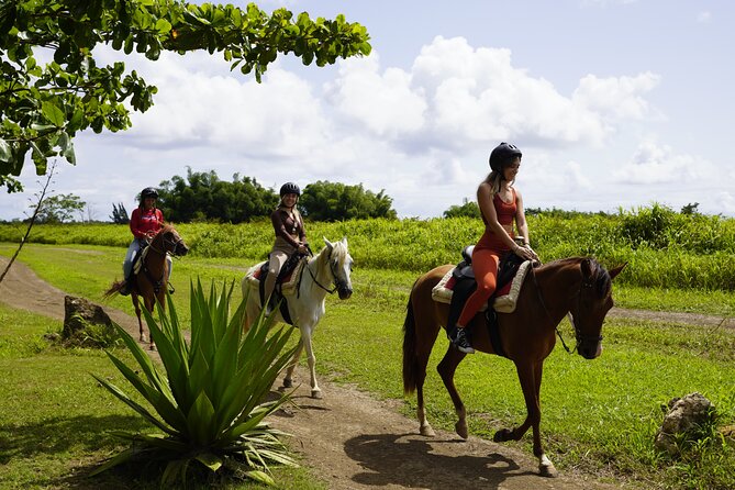 Horseback Riding Tour at Private Ranch - Key points to know before booking