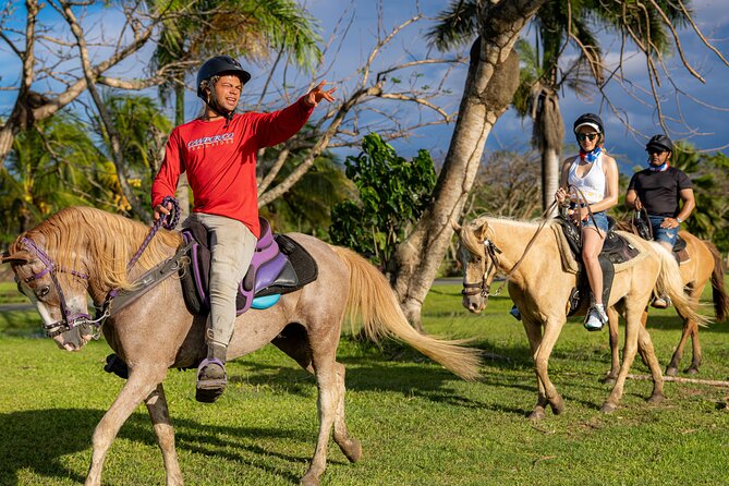 Horseback Riding Tour at Private Ranch - Riding Paso Fino horses at Campo Rico