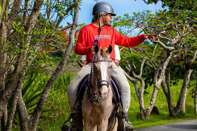 Horseback Riding Tour at Private Ranch - Arriving at the Mojito Bar and ranch entrance