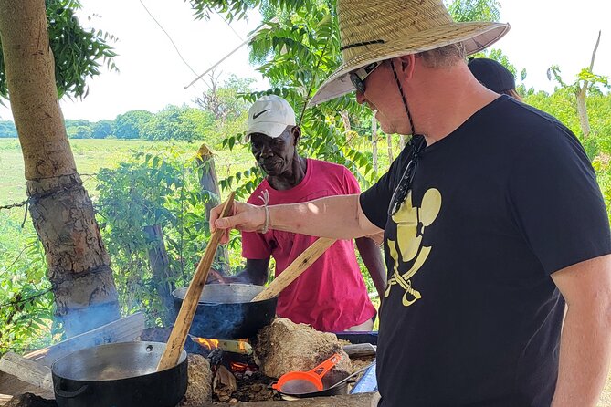 Horses, Buggy, and plantation in Chocaci Ranch - Why Chocaci Ranch makes a good break from Punta Cana resorts