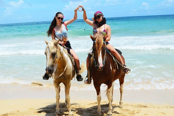 Horses, Buggy, and plantation in Chocaci Ranch - What happens during the coffee and cacao visit