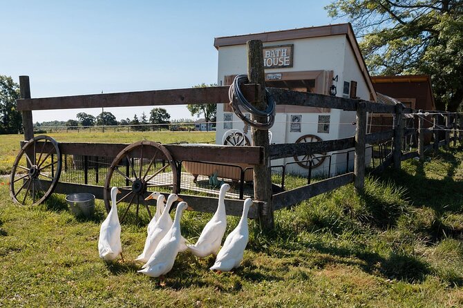 Humberstone Ranch Visit with Mini Domestic Animals - Key points to know before you go