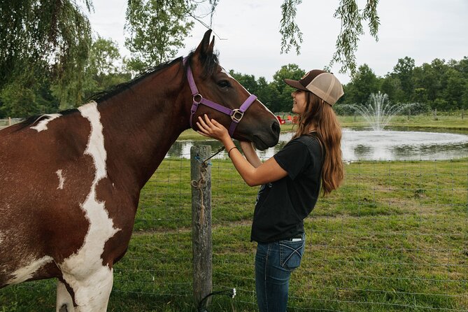 Humberstone Ranch Visit with Mini Domestic Animals - Why this farm visit works so well for families