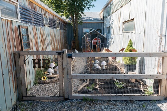 Humberstone Ranch Visit with Mini Domestic Animals - Indian Runner Ducks and a lesson in posture