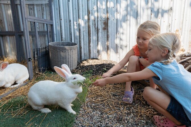 Humberstone Ranch Visit with Mini Domestic Animals - What $15.01 gets you