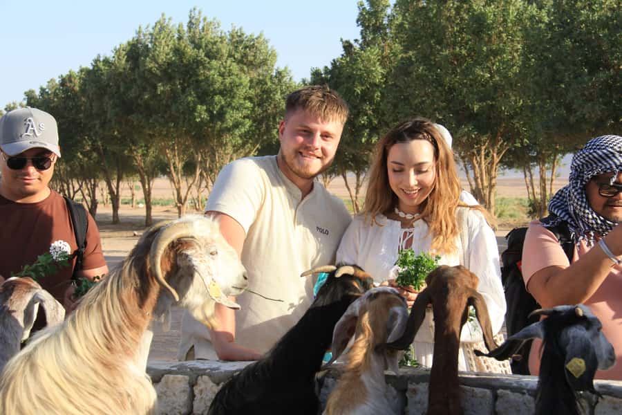 Hurghada: Desert Farm Tour with Breakfast at Scorpion Camp - Key points to know before booking