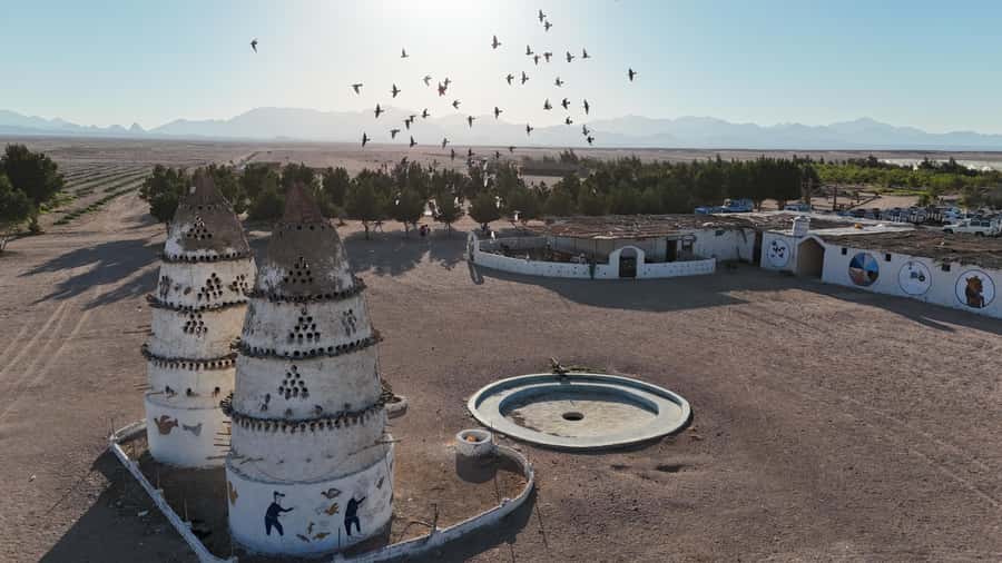 Hurghada: Desert Farm Tour with Breakfast at Scorpion Camp - From Hurghada to the desert farm
