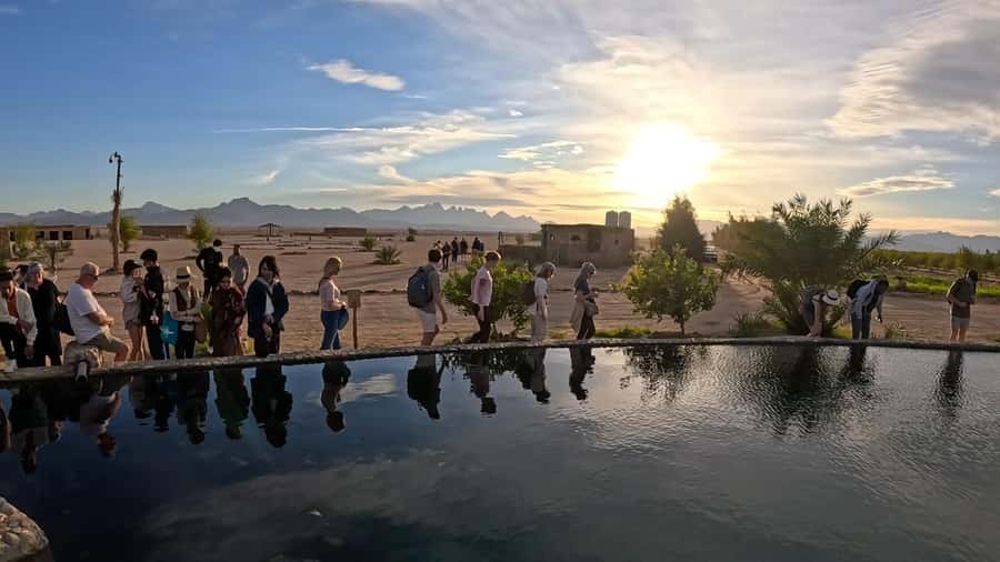 Hurghada: Desert Farm Tour with Breakfast at Scorpion Camp - Meeting goats, sheep, birds, and cows