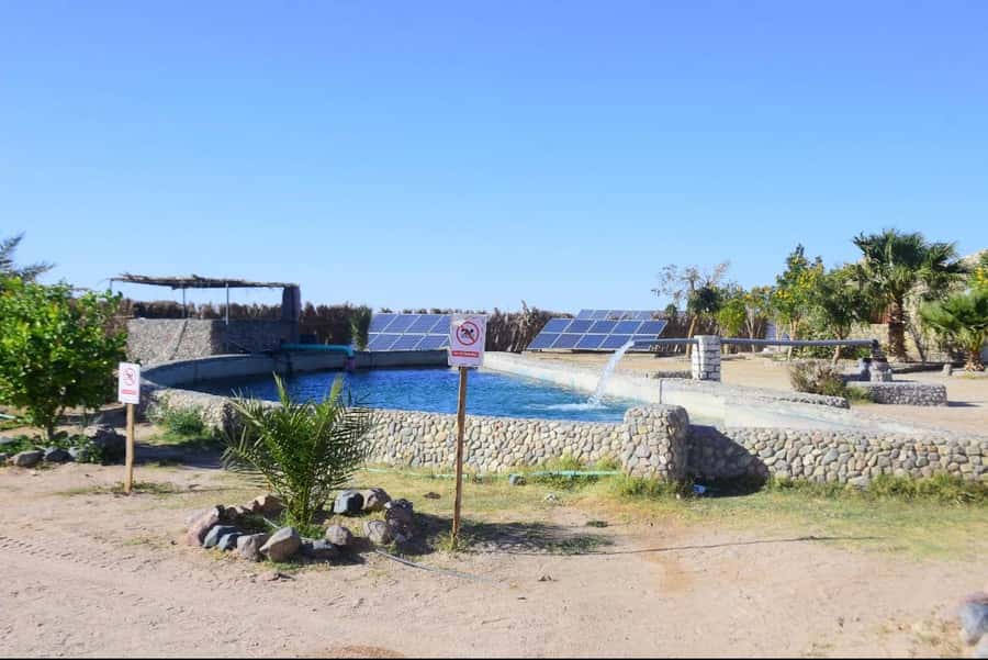 Hurghada: Desert Farm Tour with Breakfast at Scorpion Camp - What the $47 price really covers