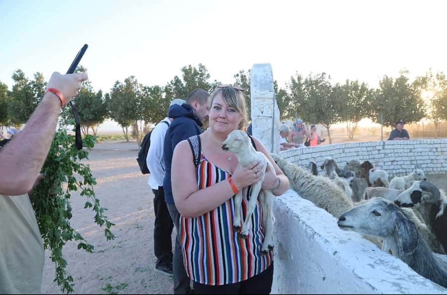 Hurghada: Desert Farm Tour with Breakfast at Scorpion Camp - Who should book this farm day